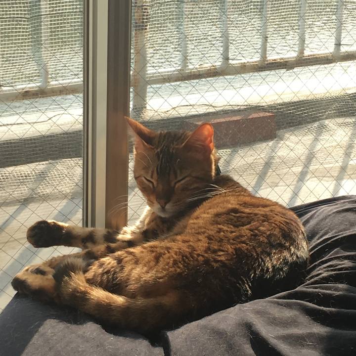 2f483e9a 7d06 40cb b154 335bddbaf7dd