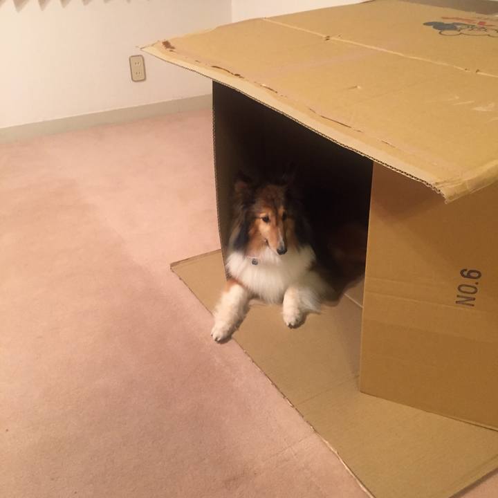 2f484d76 ac37 48c5 916e 2549ddf7e67f