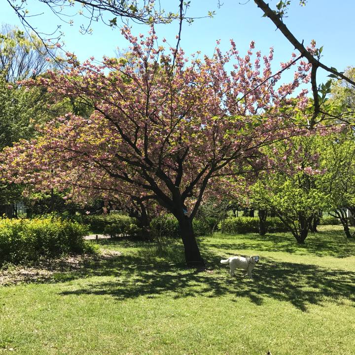 2f48629d 26ac 4ed0 8fba 1080f750bfb3