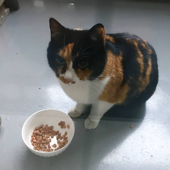 2f48a8bf de33 4cd0 ab55 f6f40dd62e68