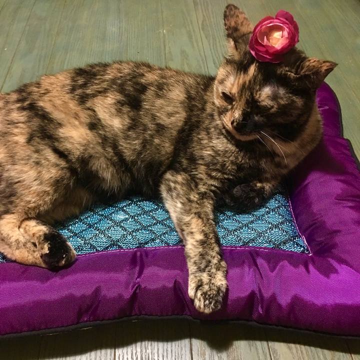 2f49bba4 b756 4b76 a817 b736a21832d1