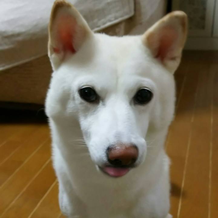 2f4a90df c184 4ed7 aa12 7f8cd3a5ed4b