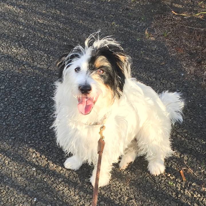 2f4b774b 22ab 47bf 9d24 a5e35da95a7e