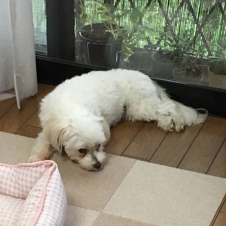 2f4b985e 9625 4b3a 8d73 6b76f9d91491