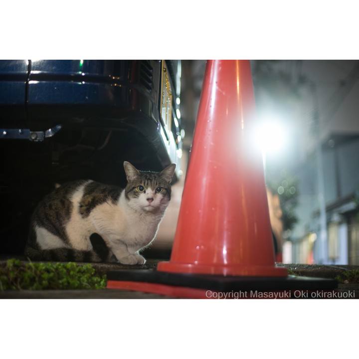 2f4b9f76 bcf4 4551 ac91 eba1dbf8355c