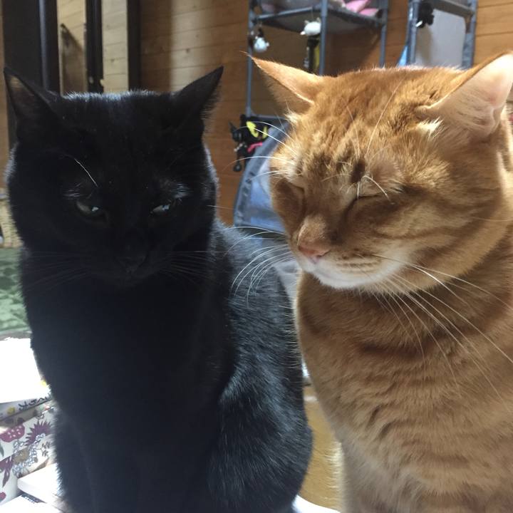 2f4bd79c 38d6 4e91 8a36 8583864b8d61