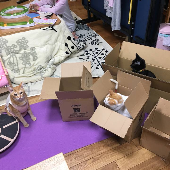 2f4c69fd d2c7 4bec bbab 96ff9b79da97