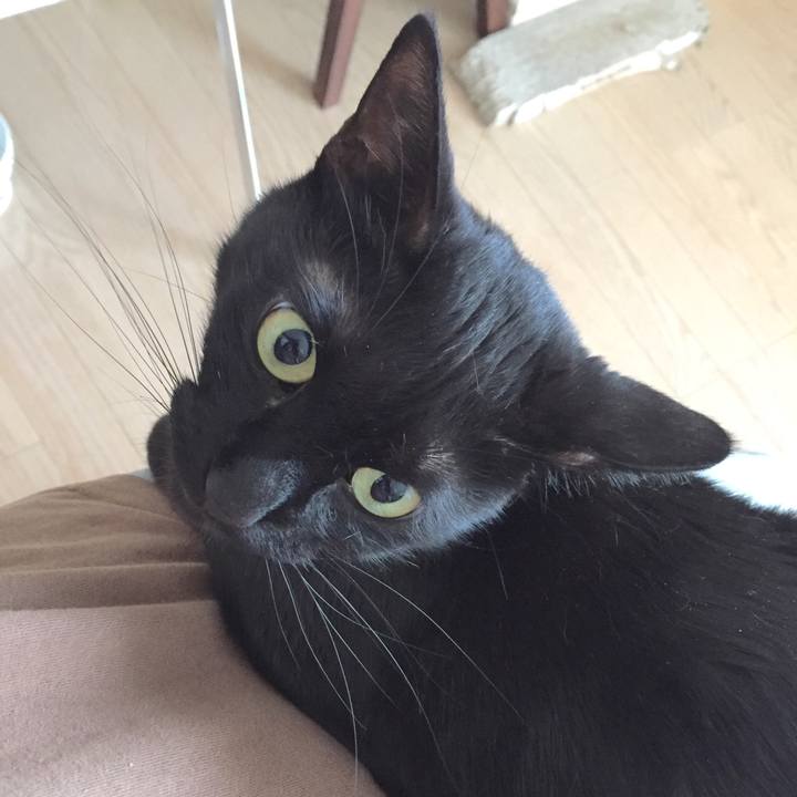 2f4c6fa2 66b4 409f 9d99 8815382d3f10