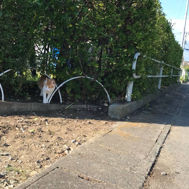 2f4c74b4 8d47 434e 8a7d b2f601b3cdc1