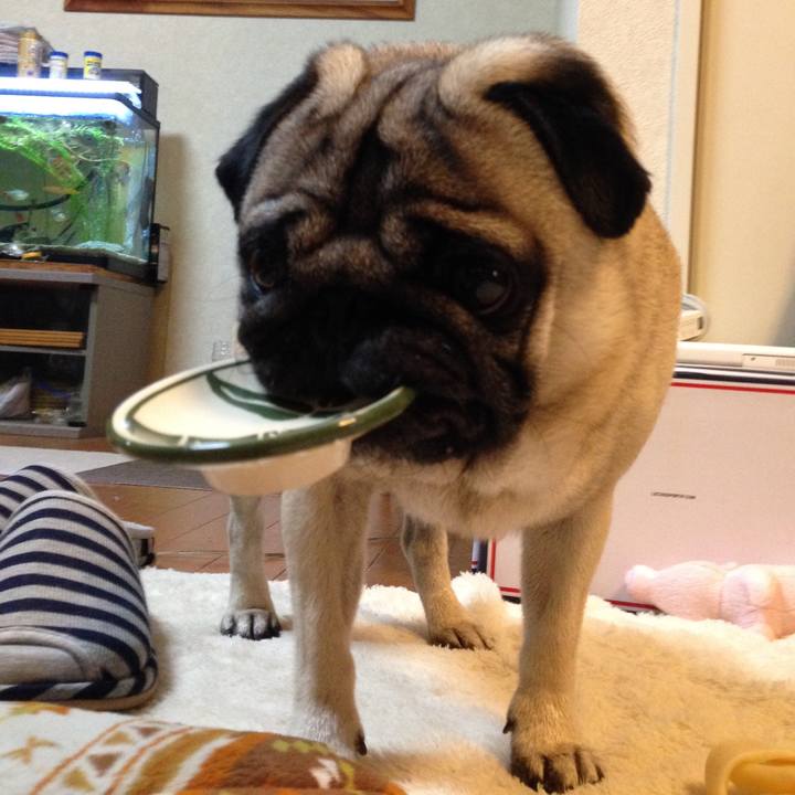 2f4c96e1 e16c 44d1 b3ee f155358fee97