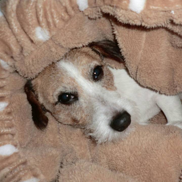 2f4ca8c6 ab52 4502 8740 299648eac47c