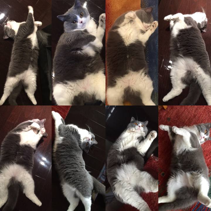 2f4cfd95 cbb6 4f06 ad12 fed5c44fdf1b