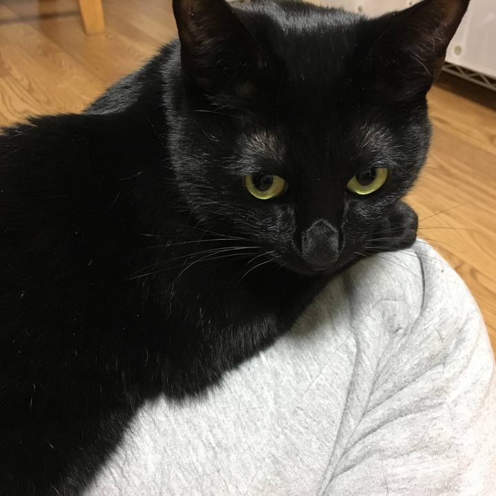 2f4d9422 7172 4df9 9ff3 df47132d34df