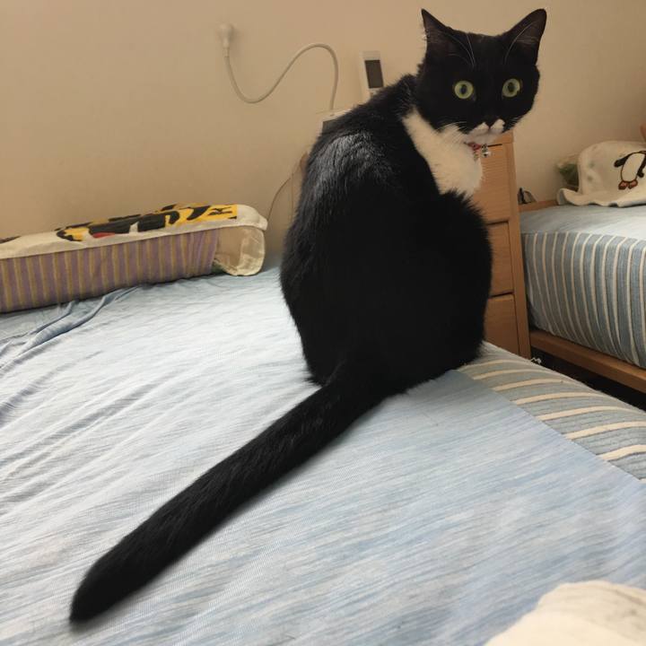 2f4ef101 fc7c 4437 89cf 2b8eb54bbed4