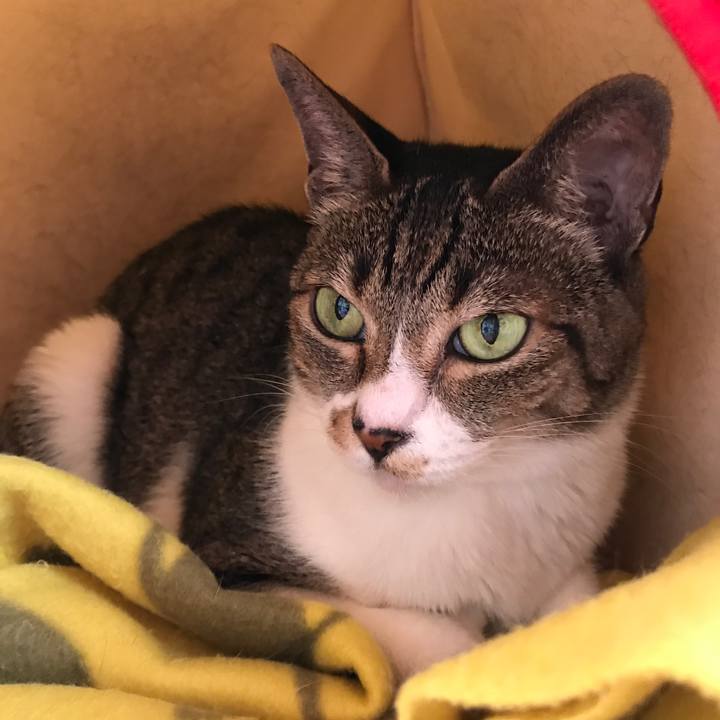 2f4f24f6 29fc 409a ae6c f37e84c5d82c