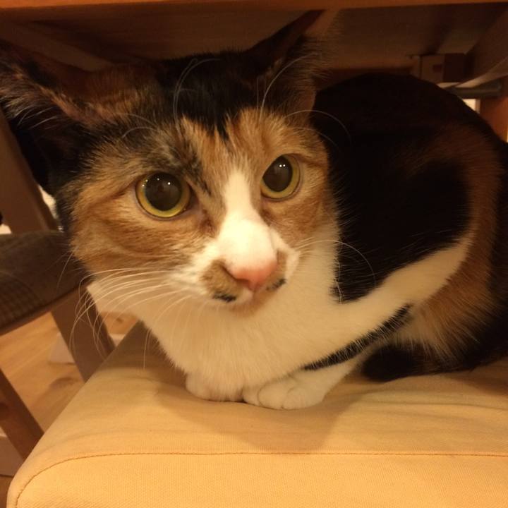 2f4f439f 8ad0 4193 8e06 575a1194d209