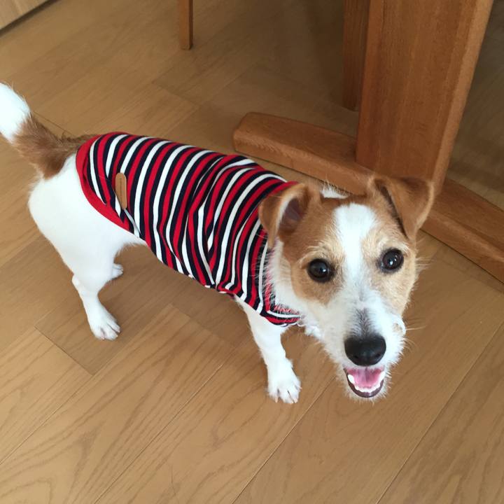 2f4f5351 4977 4270 9500 c22e59e5ca64