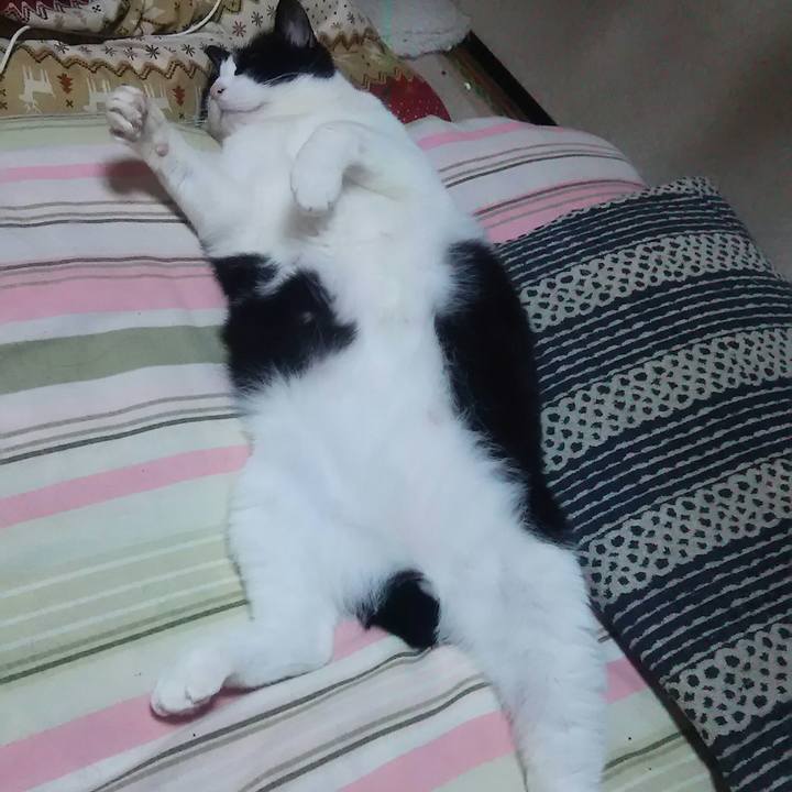 2f4f8ac4 789c 4fe1 bd64 86c9b51ad058