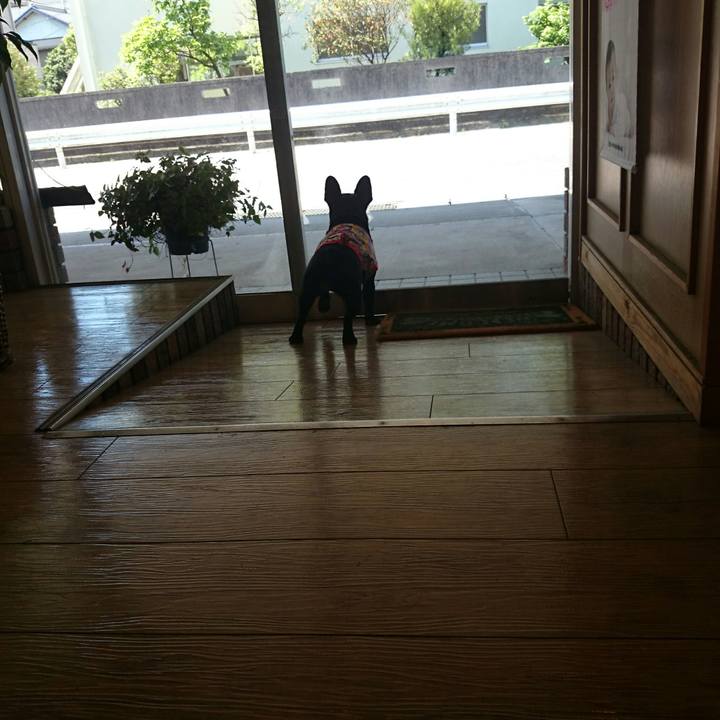 2f4f979b 7056 4c1a 8aaa 9627eefffb84