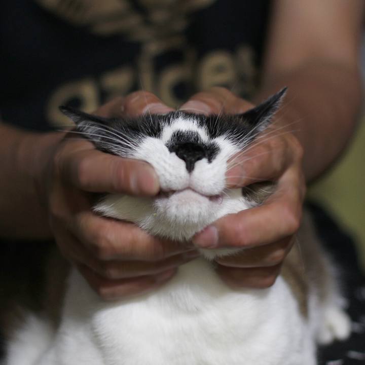 2f5069d0 bea3 470a 95b0 641c1836e0a0