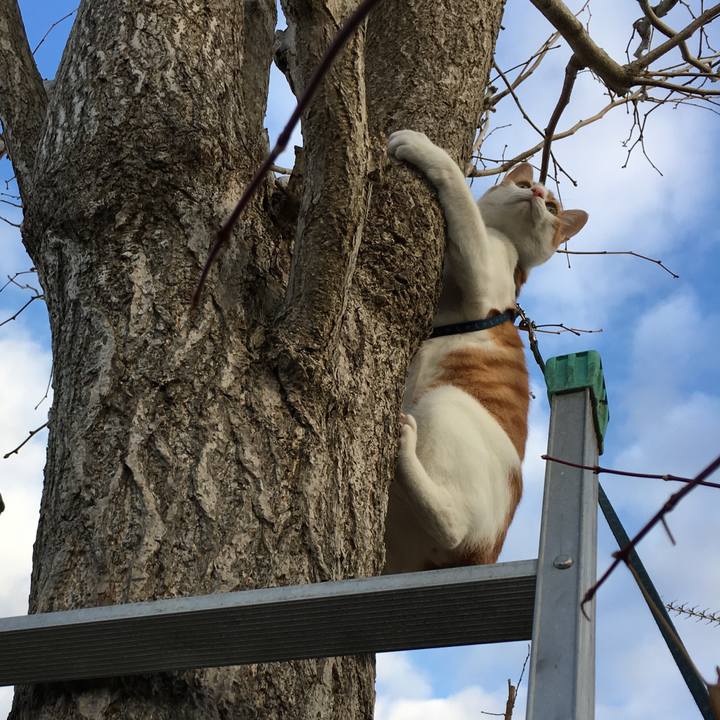 2f50921a 687a 470d 9cdd 658ea783152d