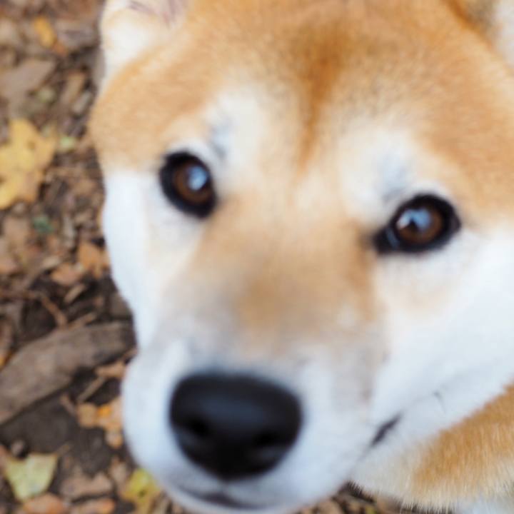 2f509bab a065 4549 92a4 f07e0aa5d81a