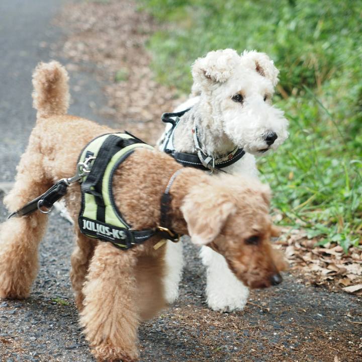 2f51013d 8108 49a6 b18e 7c865bec1941