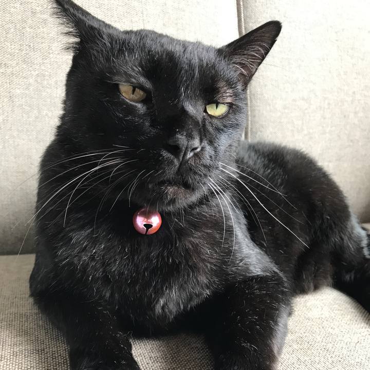 2f510209 8528 49de a674 8e003a50ee7b