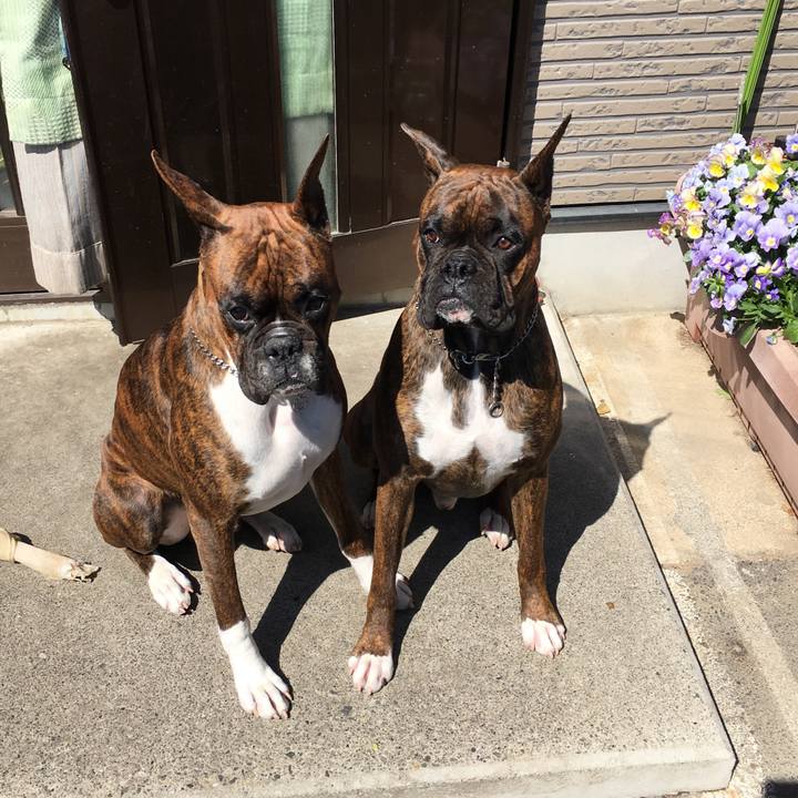 2f5134ed 00ff 4fc5 9669 a616b0bdf2e8