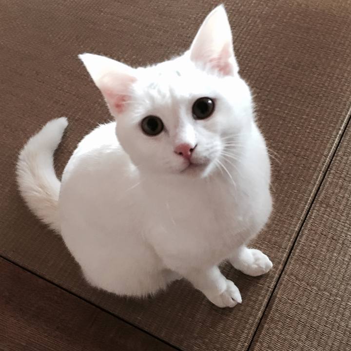 2f51601a 6770 4c22 aec4 0e0524444056