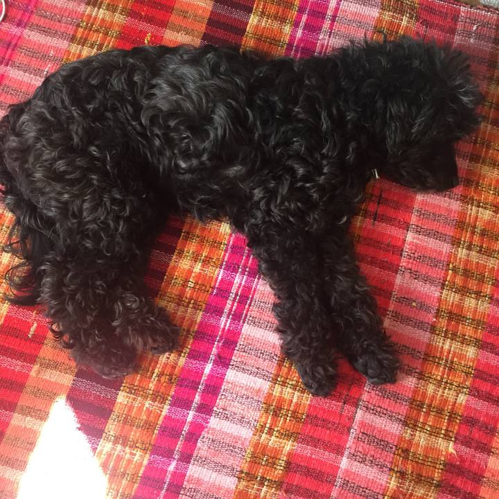 2f51b049 730e 483e 96ee ef330864075c