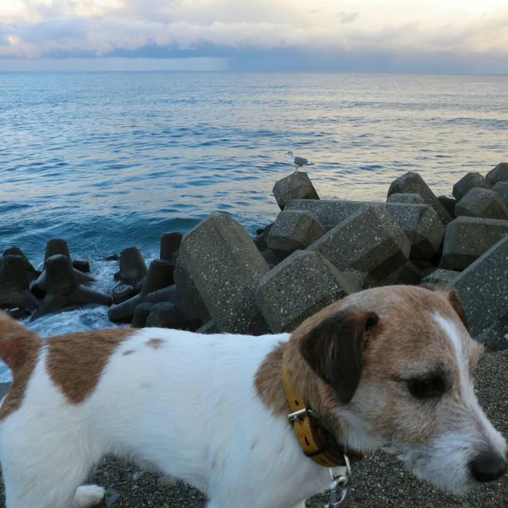 2f51d401 0ddc 4be9 b168 642ad3e090cf