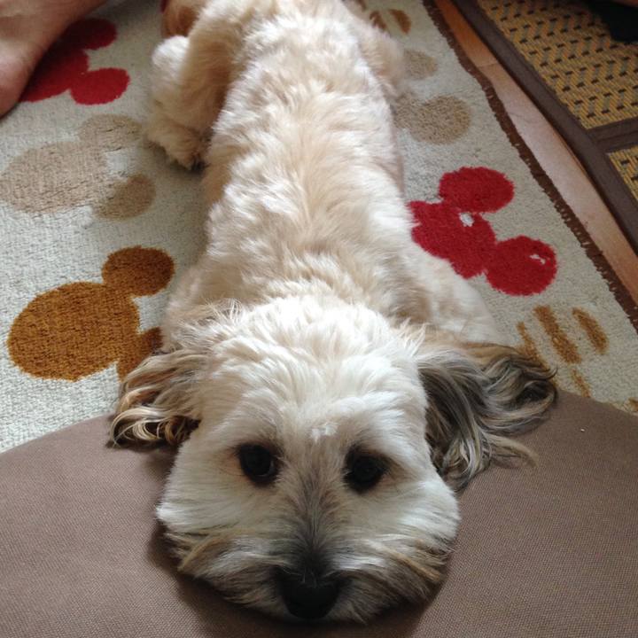 2f52194f 065d 487e bbbf 01852d7f3848