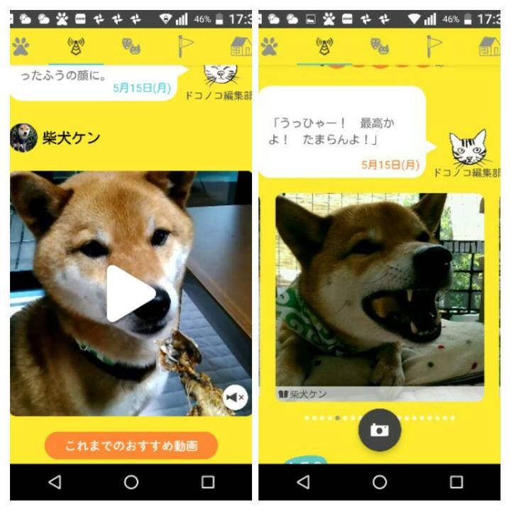 2f526d48 caeb 46ae a451 edee528ebdd9