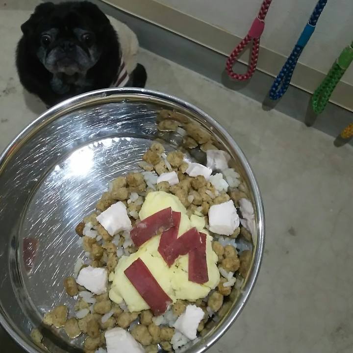 2f536d14 509c 4ad1 acf5 12680ae43685