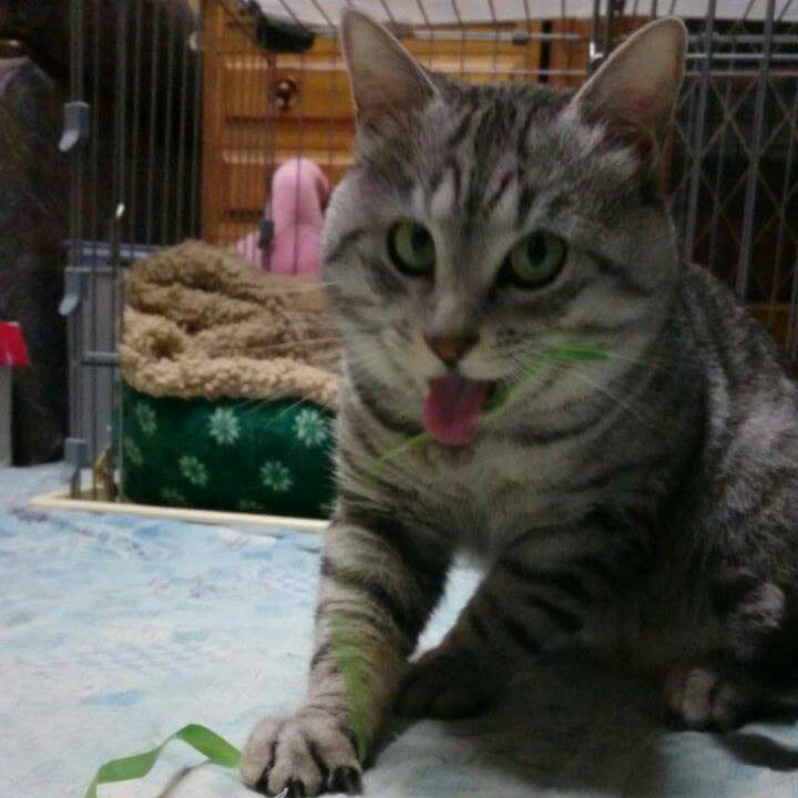 2f5386a0 2601 418d a282 54955dc68f97