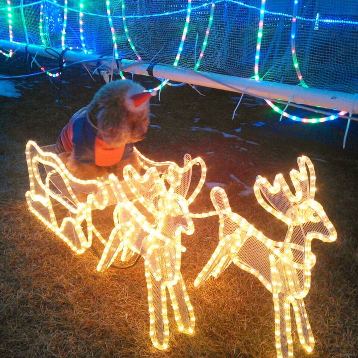 2f539120 36e2 45a8 8ebc 159c5cee5436