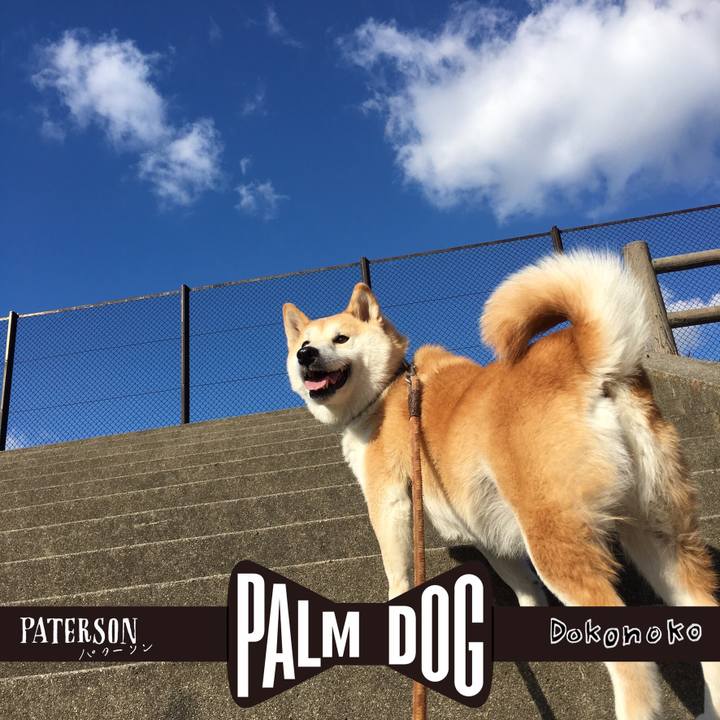 2f54d059 2702 4975 8e86 8af55c59c031