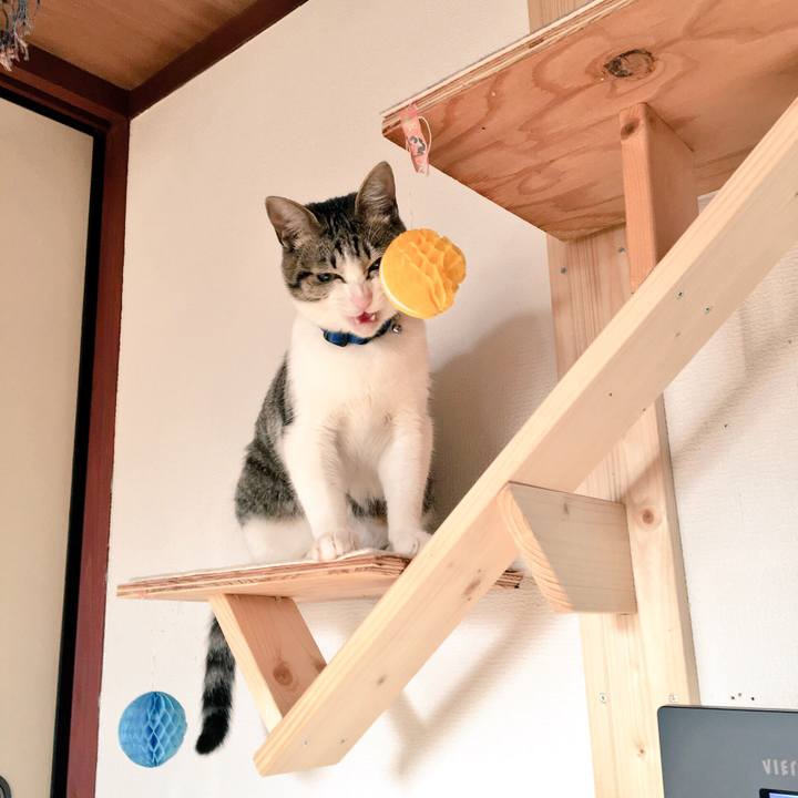 2f54f692 9cb2 4dbf 89ce 5a83d4b85444