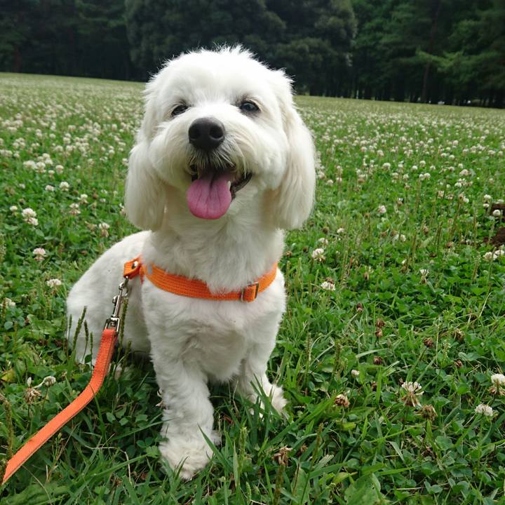 2f5525eb a168 4cfc af5c 84a4b27394b0