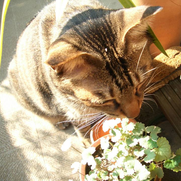 2f5617fb 8d1e 4686 8e8d 13fa21c1dc22