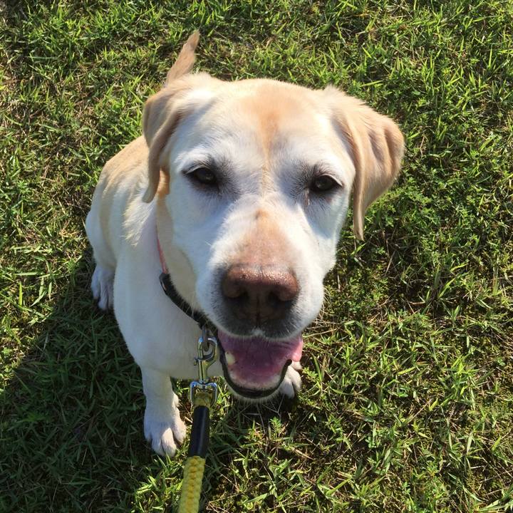 2f5631af 92f4 4ca0 b153 5da527bb9fce