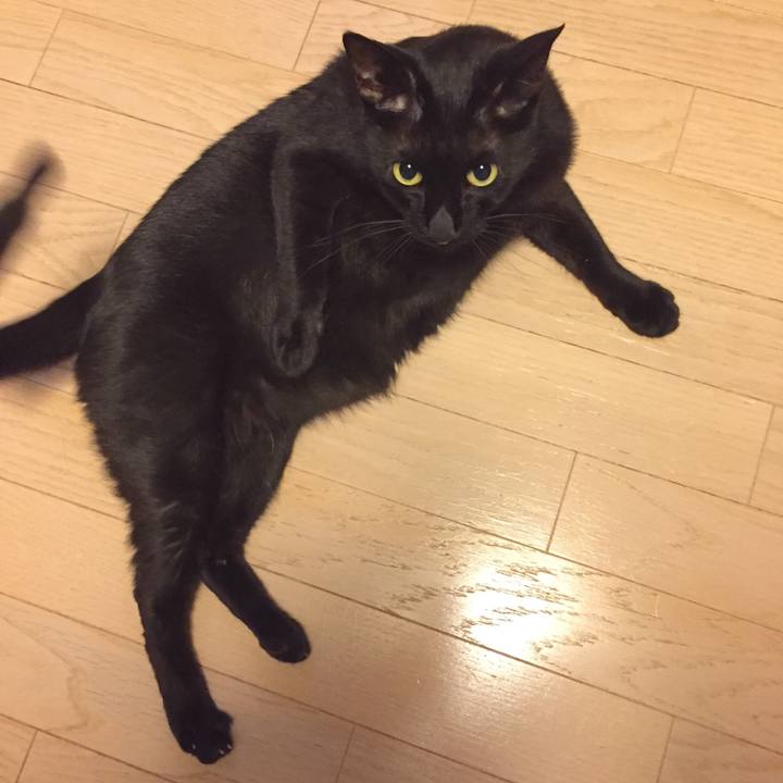 2f567cfc f829 46bc 91eb 96bfc496ba84