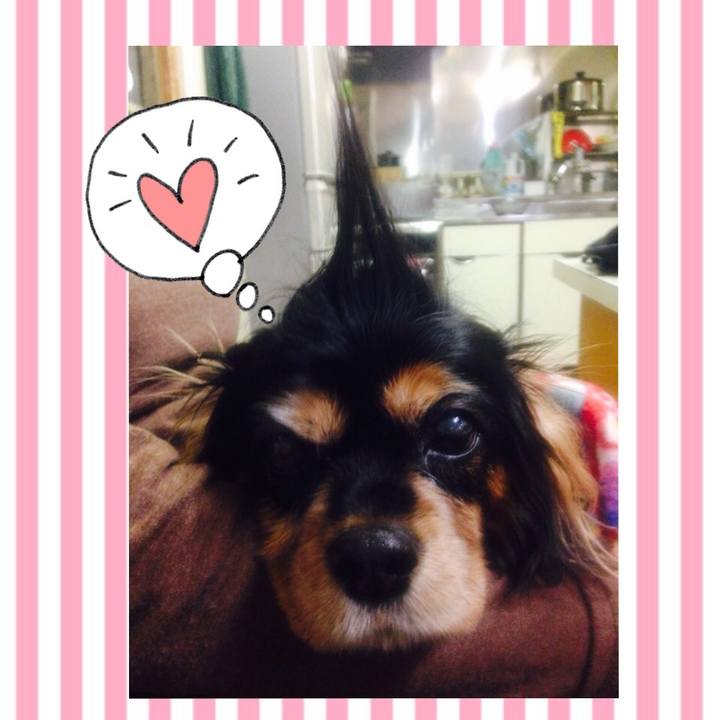 2f567edf 9711 4e8f a6ee b660d4ac5c0a