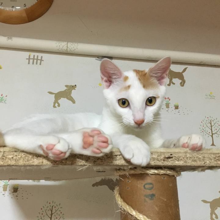 2f56aff9 b1f3 4084 8a0a 1f13e1e05882