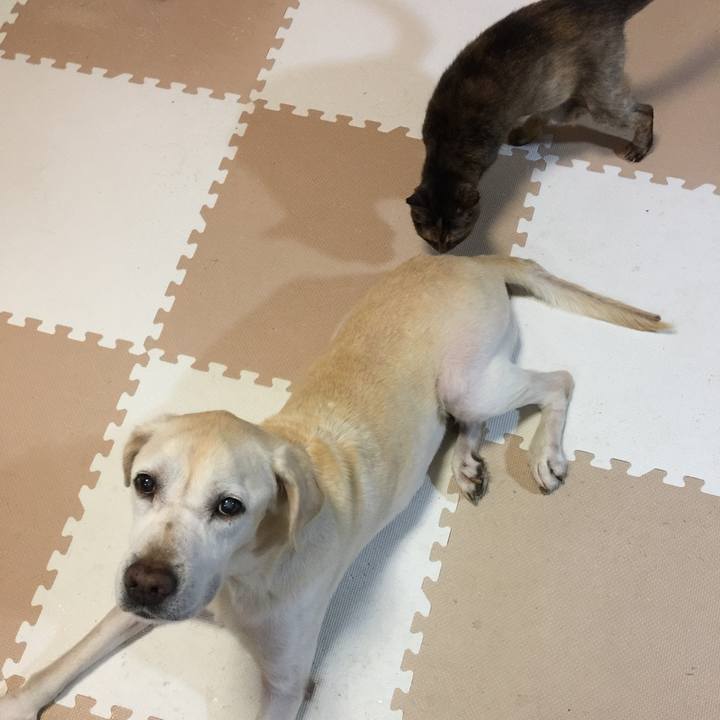 2f56b395 c742 4198 a204 bdde8956d73f