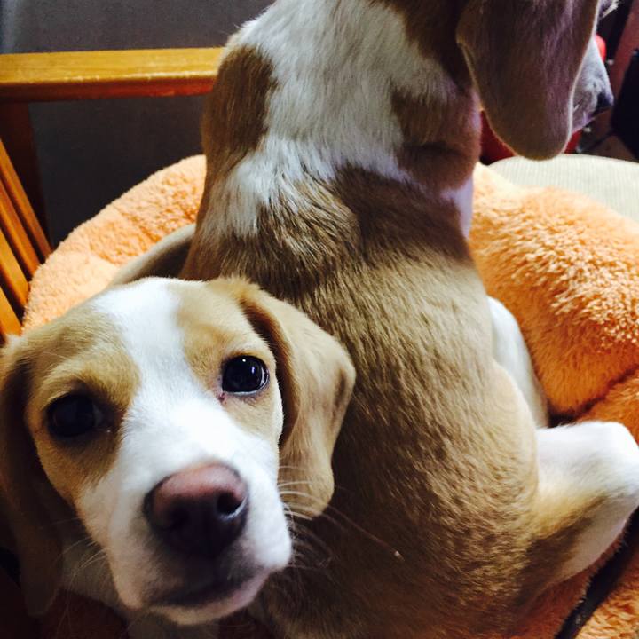 2f571913 ae5c 4cdc be6e eef12346bd36