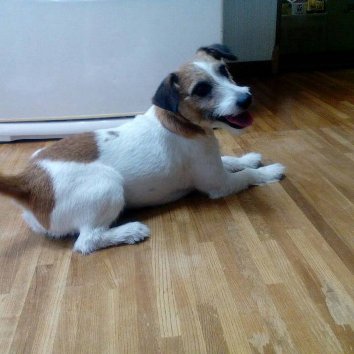 2f573044 e973 4fec ae18 a5f2026191ce