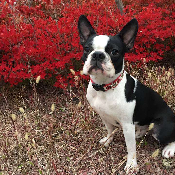 2f578b4e 3d14 4844 9d53 c3ba2207886f