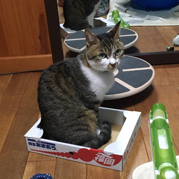 2f5791a7 899d 4d20 875a c8e97b54cc43